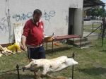 20140509_112156